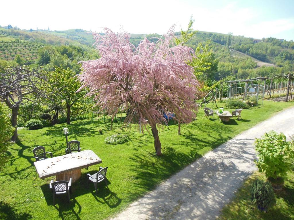 Agriturismo Affittacamere Barbarossa Dogliani Extérieur photo