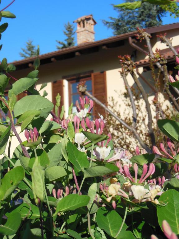 Agriturismo Affittacamere Barbarossa Dogliani Extérieur photo