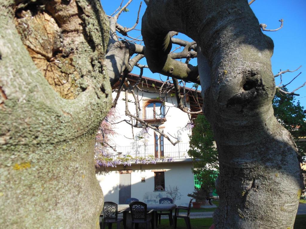 Agriturismo Affittacamere Barbarossa Dogliani Extérieur photo